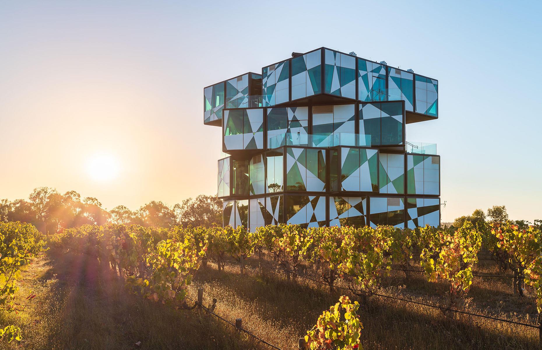 26: The vineyards surrounding Adelaide
